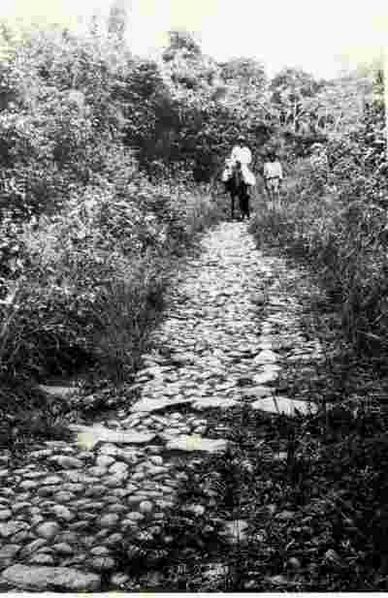 File:Las Cruces Trail 1914.jpg